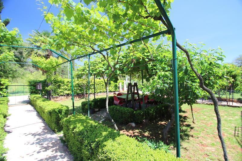 The Green House - 20M From The Beach Novigrad Istria Pokoj fotografie